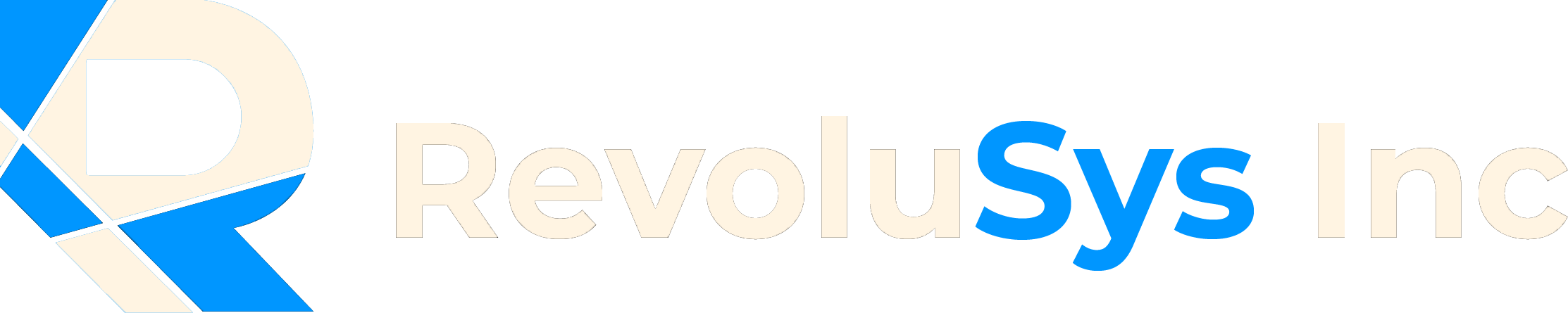 RevoluSys Inc